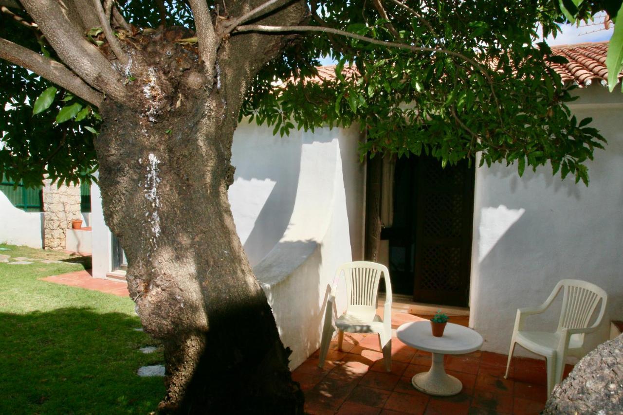 Villa Jacaranda - 550M From The Beach - Free Wifi - By Bedzy Albufeira Eksteriør billede